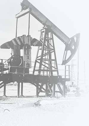 Нефтяная компания, <br>Казахстан